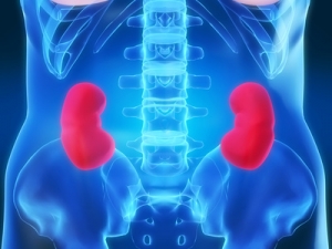 Estudio revela que fármaco para tratar EAP demora el daño renal
