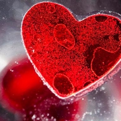 Estudio revela que las células madre también detienen envejecimiento del corazón