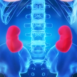 Estudio revela que fármaco para tratar EAP demora el daño renal