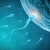 Franceses crean espermatozoides humanos in vitro