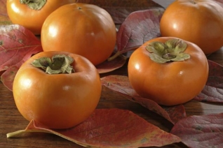 Una fruta para quienes sufren de hipertensión